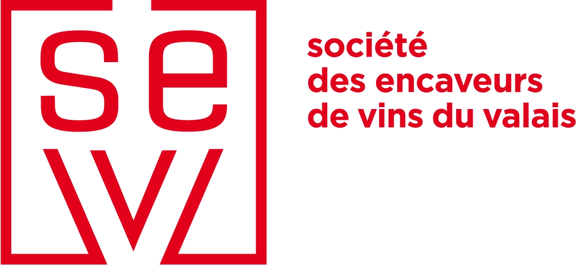 logo sevv